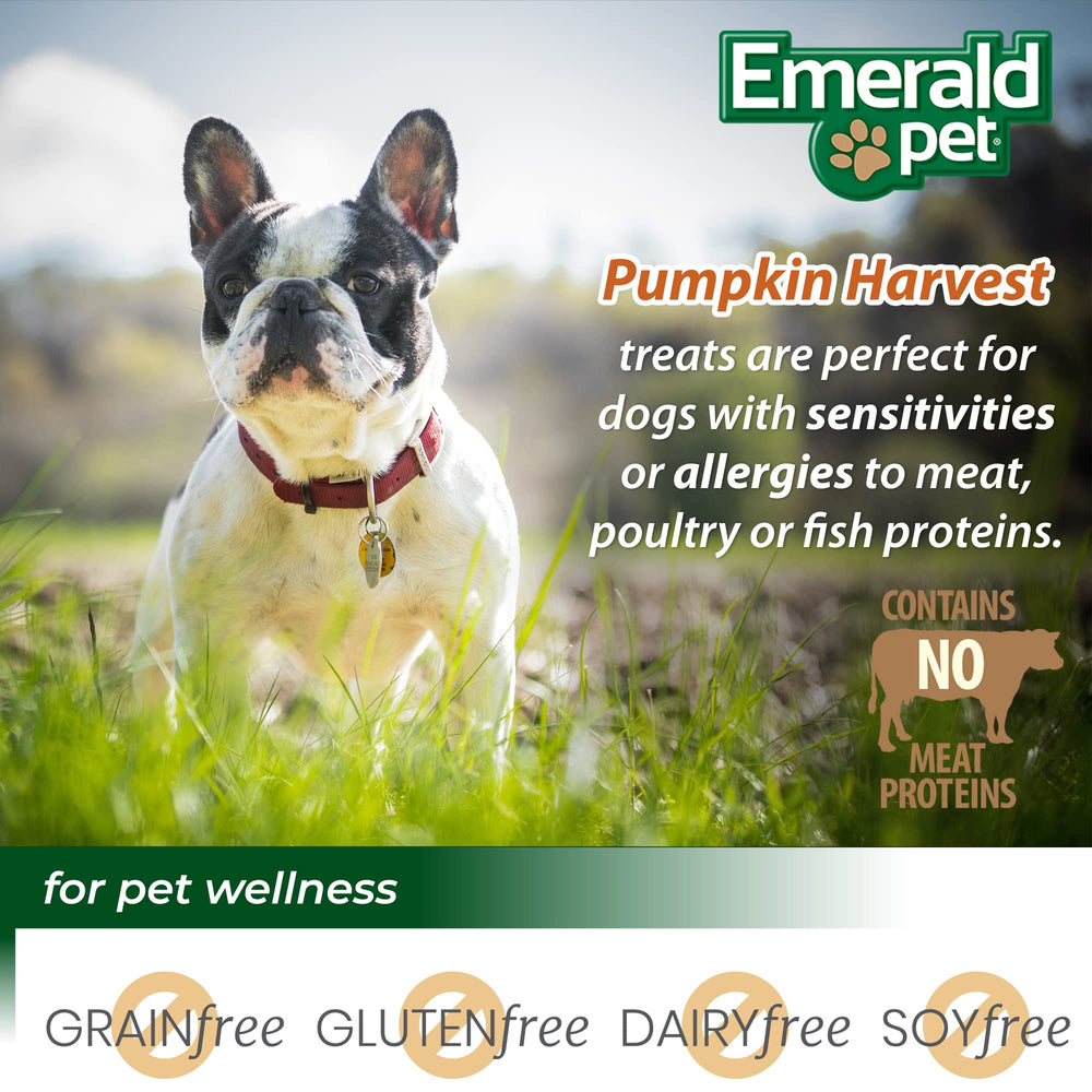Recette myrtilles Emerald Pet Pumpkin Harvest, parfaite pour récompenses quotidiennes