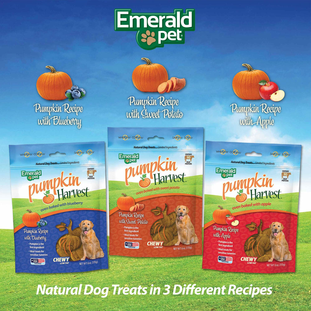 Recette Emerald Pet Pumpkin Harvest pomme, idéale pour chiens sensibles sans viande