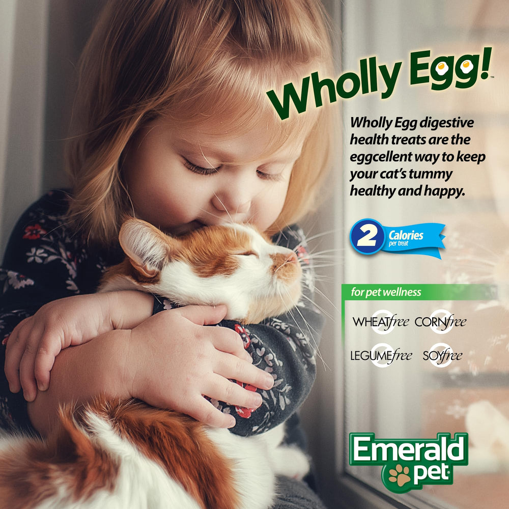Emerald Pet treat time ideas showcase quick rewards for training and bonding with your cat.