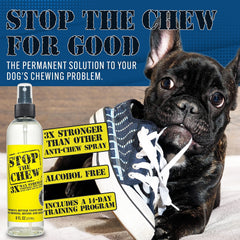Emmy's Best EBPP Stop The Chew spray bottle with easy-dispense