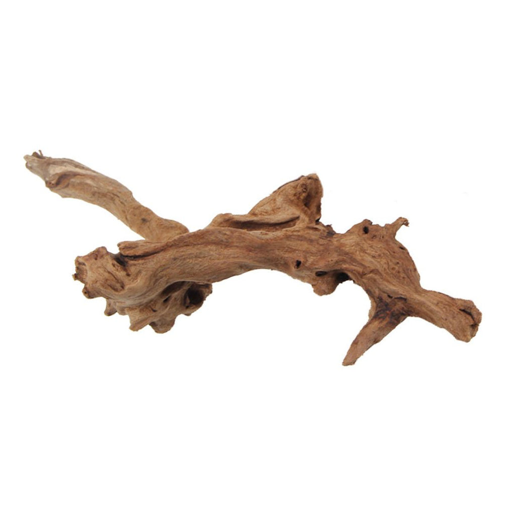 emours driftwood aquarium decoration medium offers natural shelter for nocturnal fish