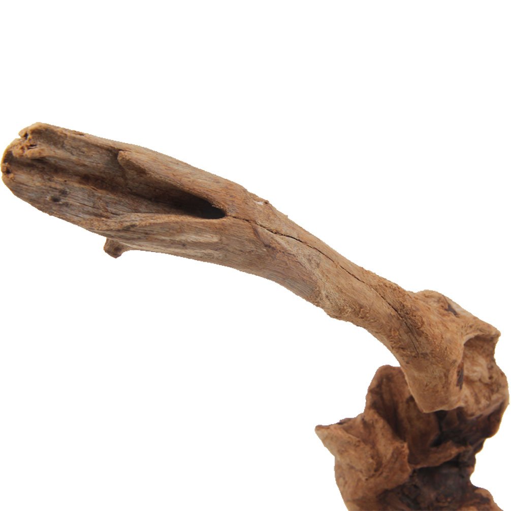 Emours driftwood shelter for small fish enhances hiding spots and tank comfort