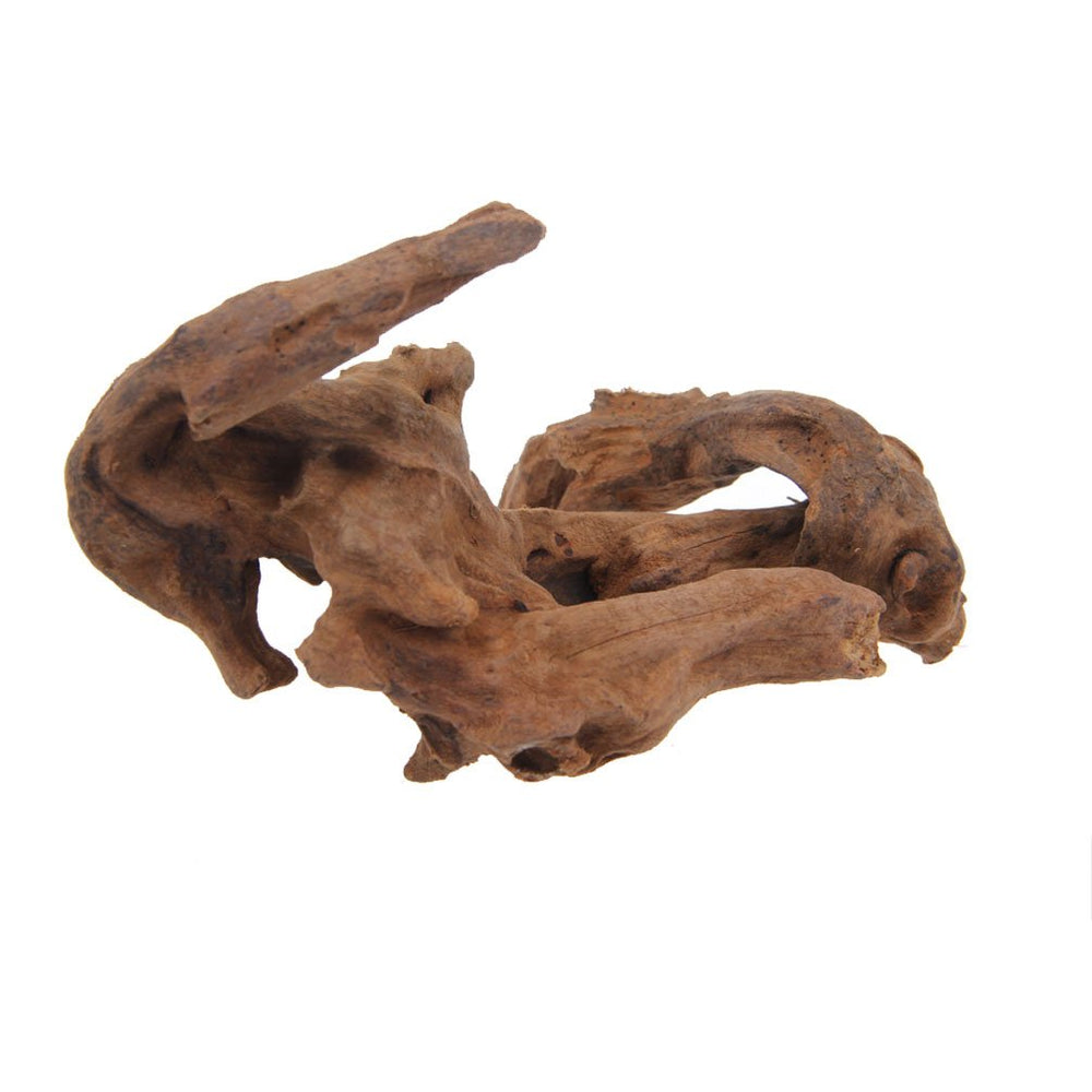 Emours driftwood prep image illustrates boiling and soaking steps for safe aquarium use