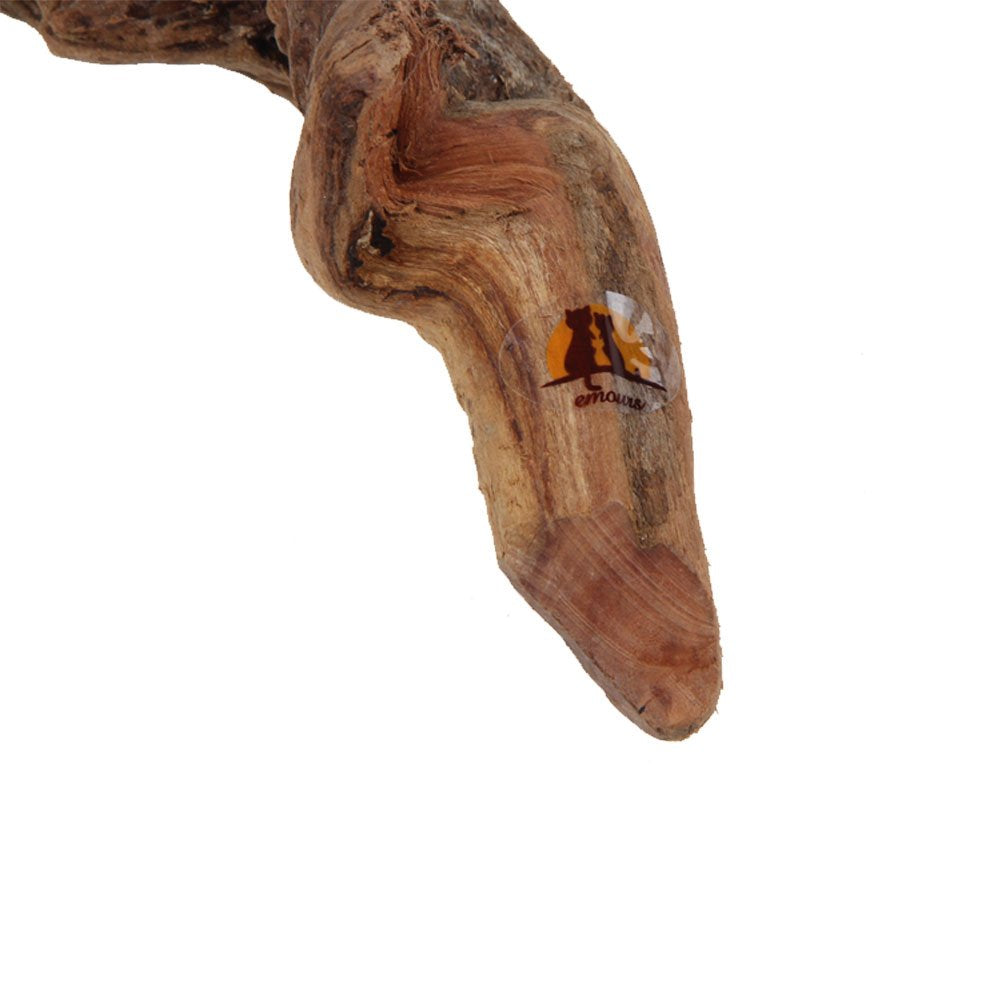 Emours nocturnal habitat driftwood supports ghost shrimp and other hiding species
