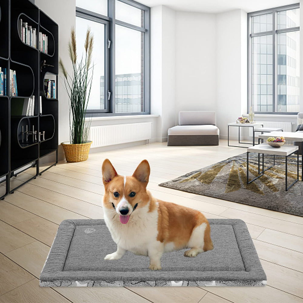 EMPSIGN dog pad shown on sofa demonstrates portable comfort beyond the crate