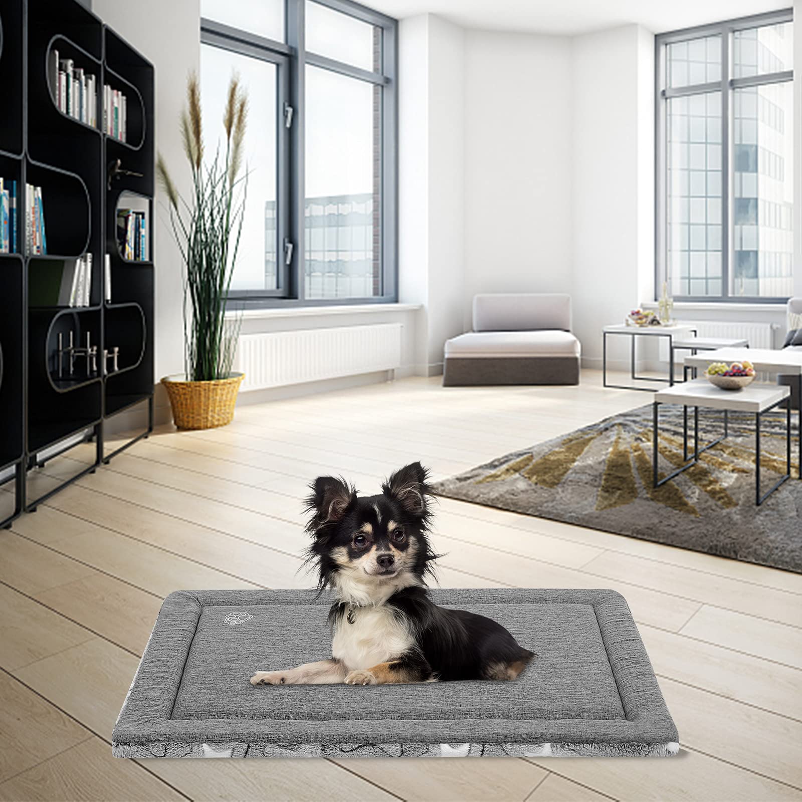 EMPSIGN lightweight, portable pad moves from crate to sofa with ease.