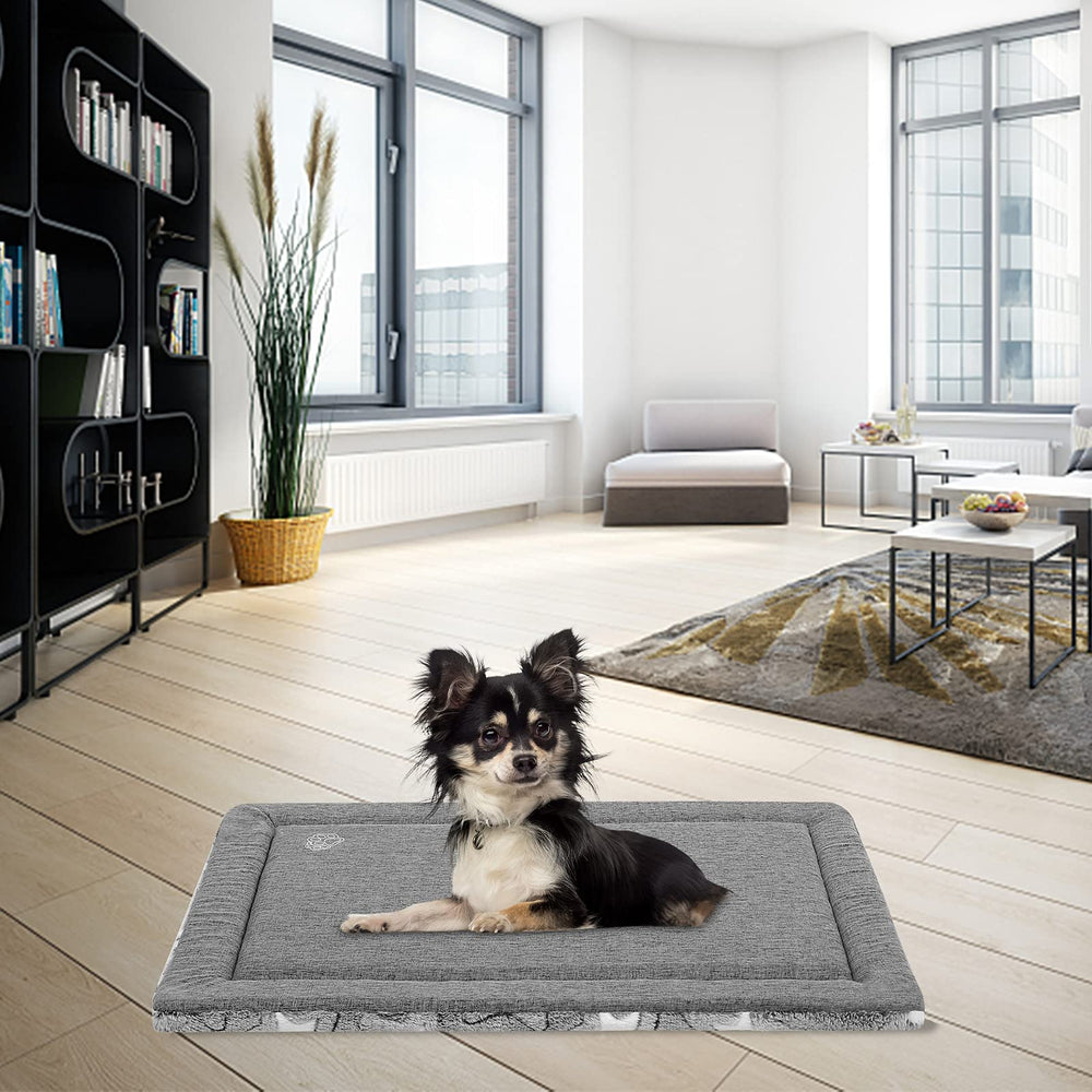EMPSIGN lightweight, portable pad moves from crate to sofa with ease.