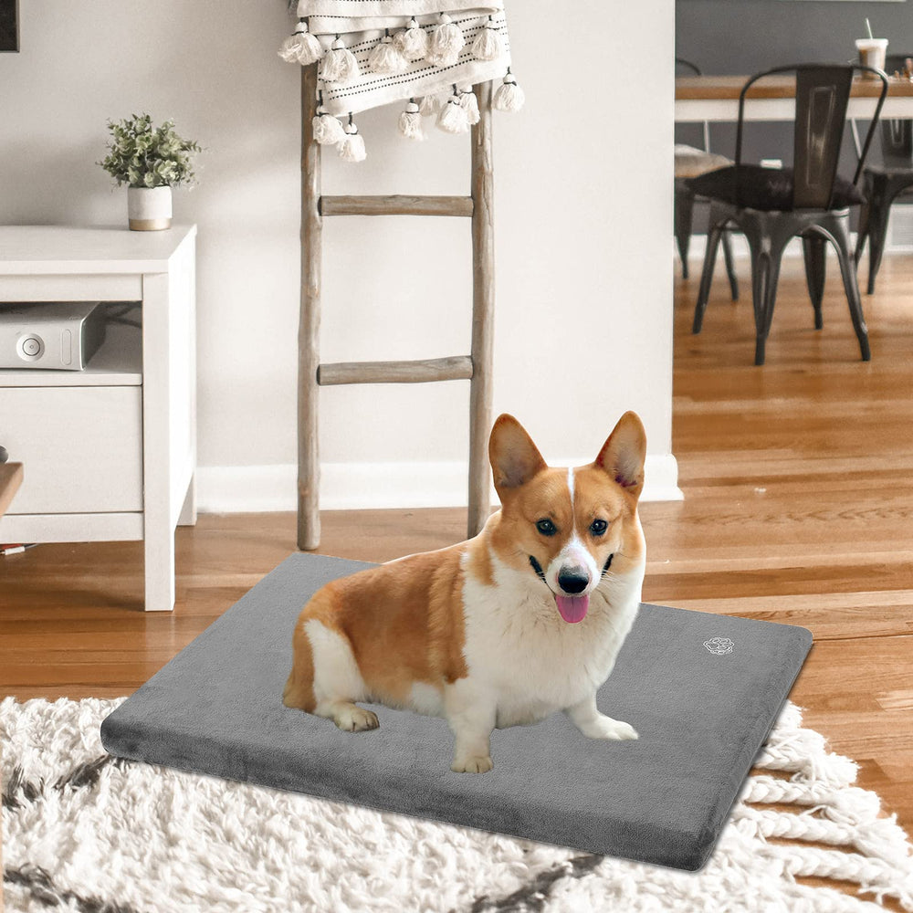 EMPSIGN vacuum-packaged bed inflates within 24 to 48 hours.