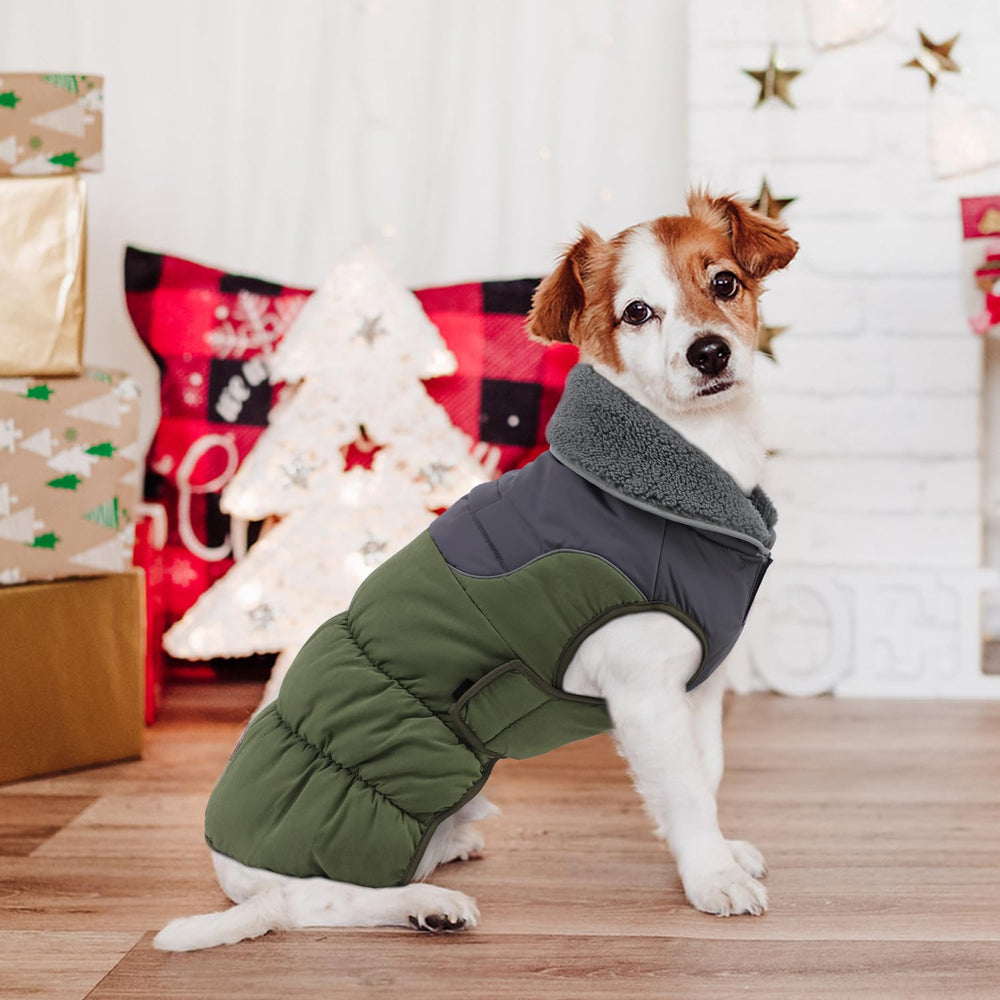 EMUST dog coat green care-instructions illustrate easy machine washing.