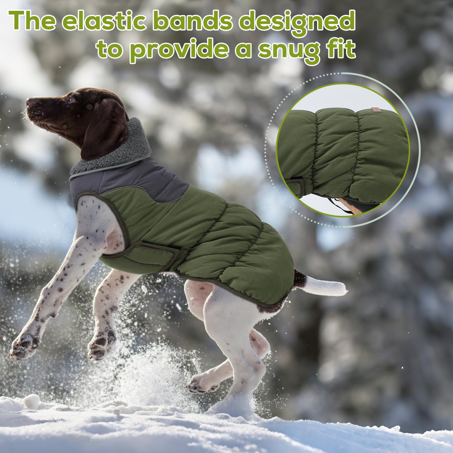 EMUST dog coat green reflective-strips highlight safety during dusk walks.
