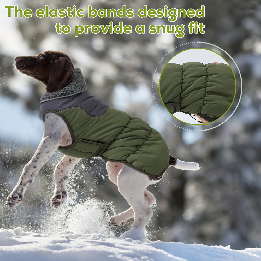 EMUST dog coat green reflective-strips highlight safety during dusk walks.