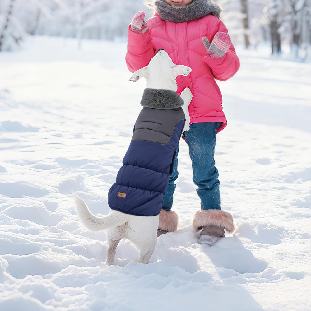 EMUST dog coat L dark blue colorway on snowy day.