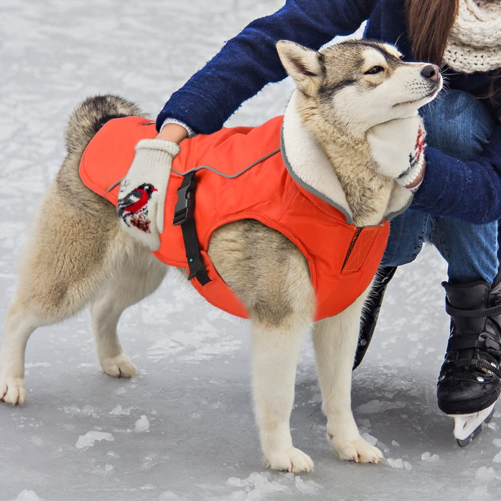 EMUST machine-washable winter coat makes cleanup quick after wet snout adventures