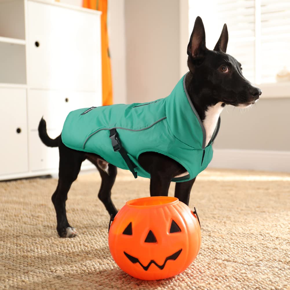 EMUST dog coat winter turquoise on model demonstrates versatile outdoor wear.
