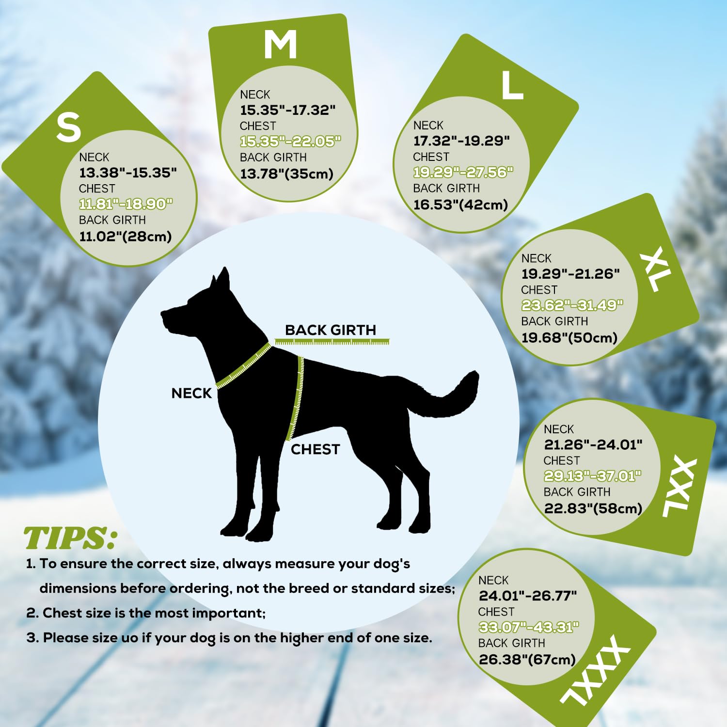EMUST dog jacket winter in green solid color suits daily indoor and outdoor wear.