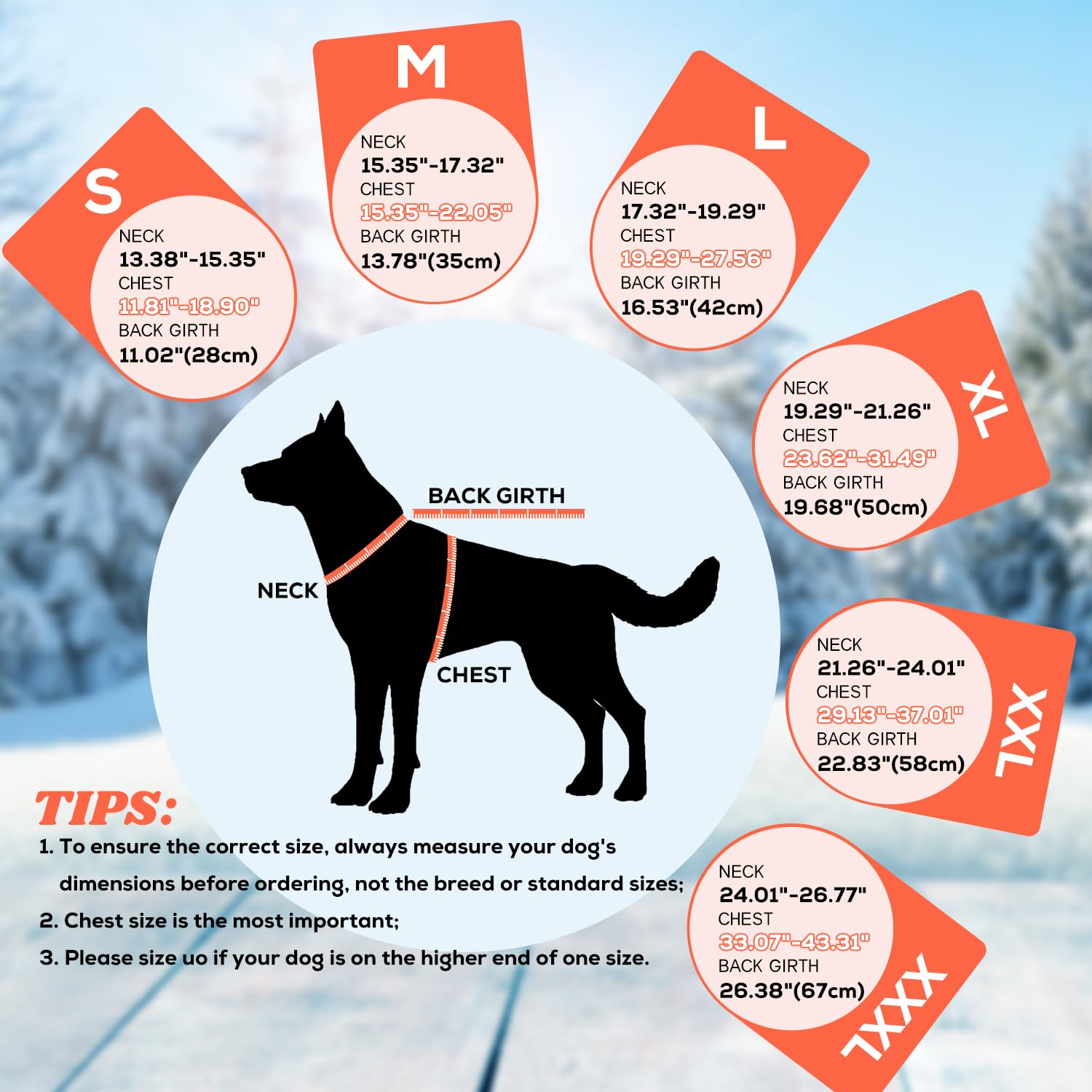 EMUST dog jacket winter waterproof windproof fabric keeps weather out