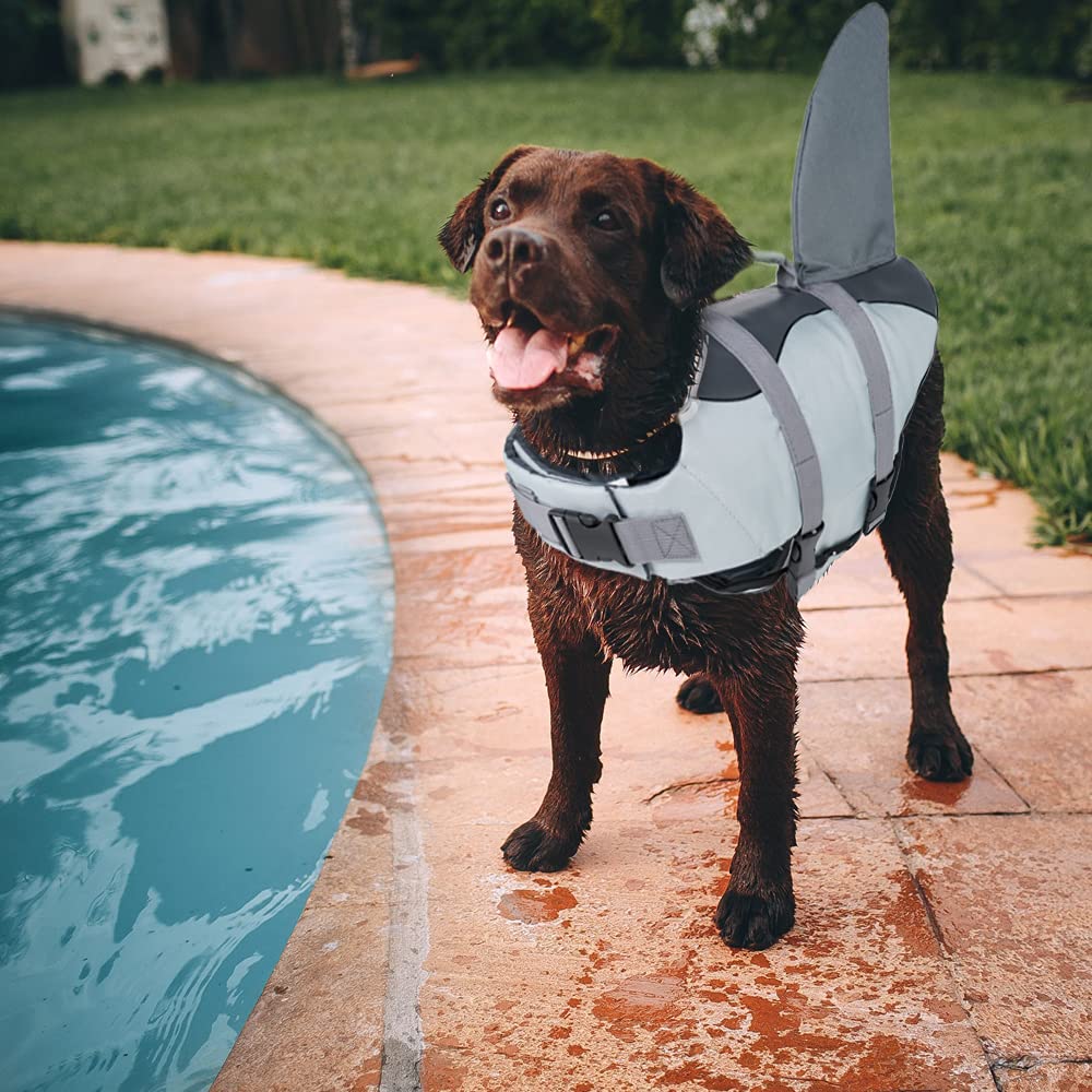 EMUST life vest includes a sturdy D-ring for attaching a leash during walks near water.