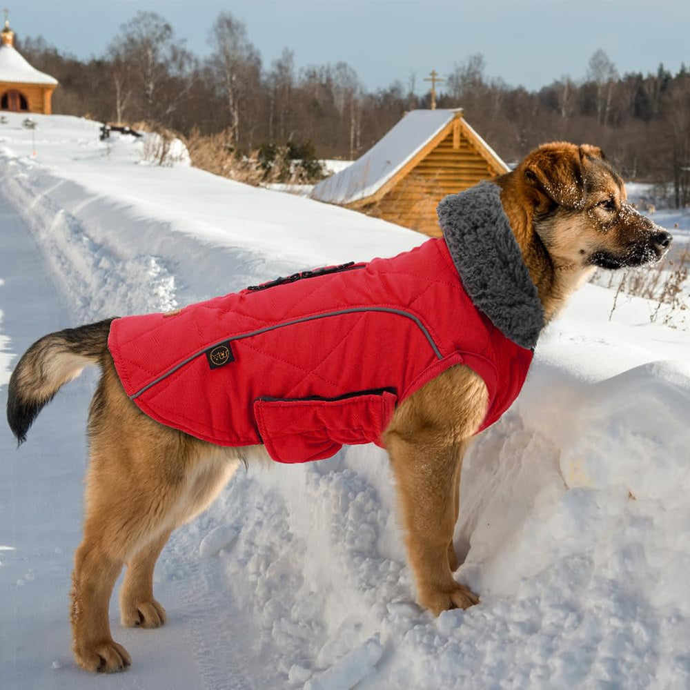 EMUST dog winter jacket collar-detail provides extra warmth around neck