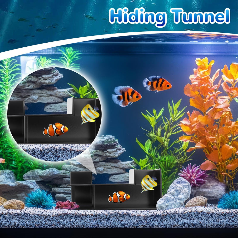 EMUTOL small fish and shrimp enjoying tunnel interaction and foraging.