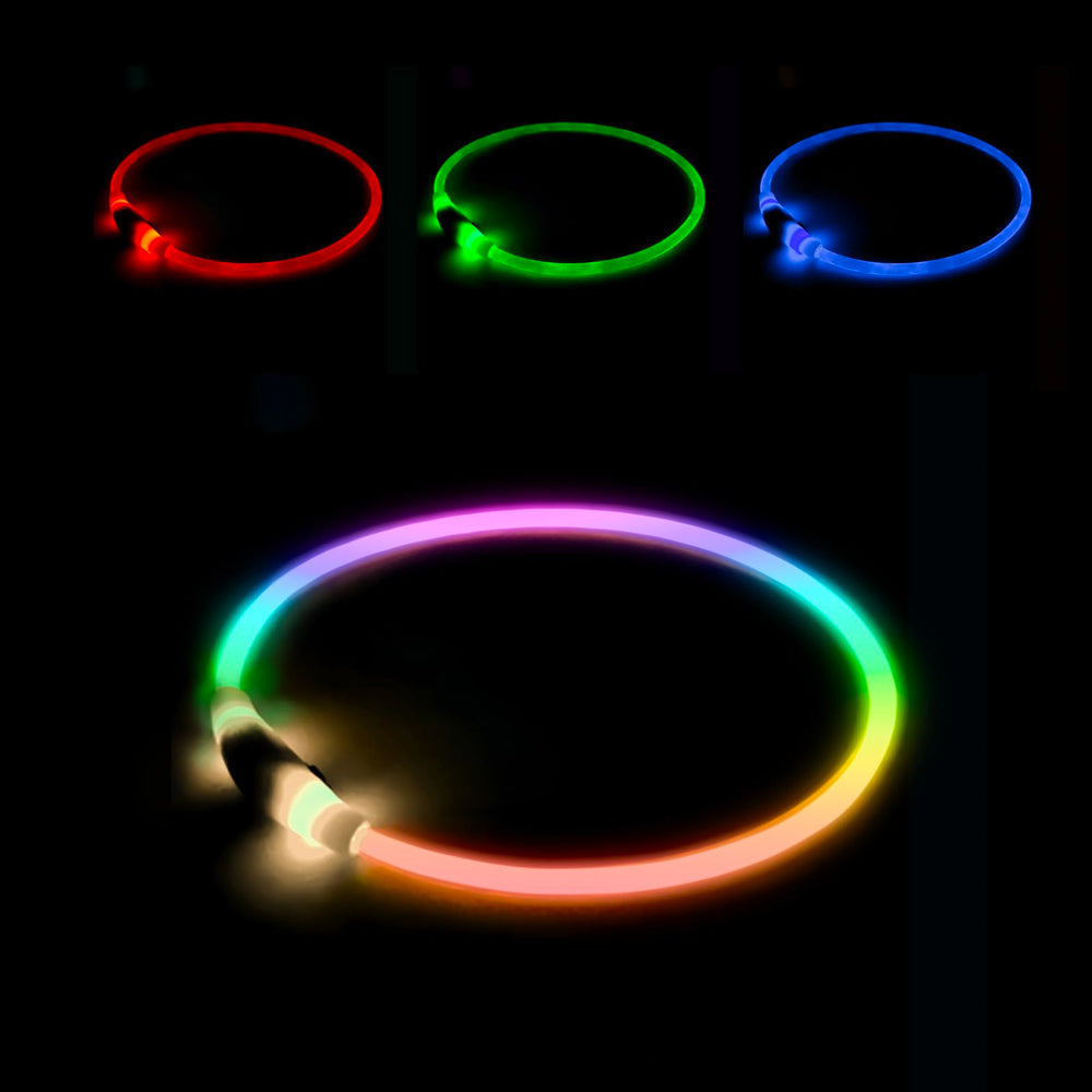 Emwel light-up dog collar front view highlights high visibility for safe night walks