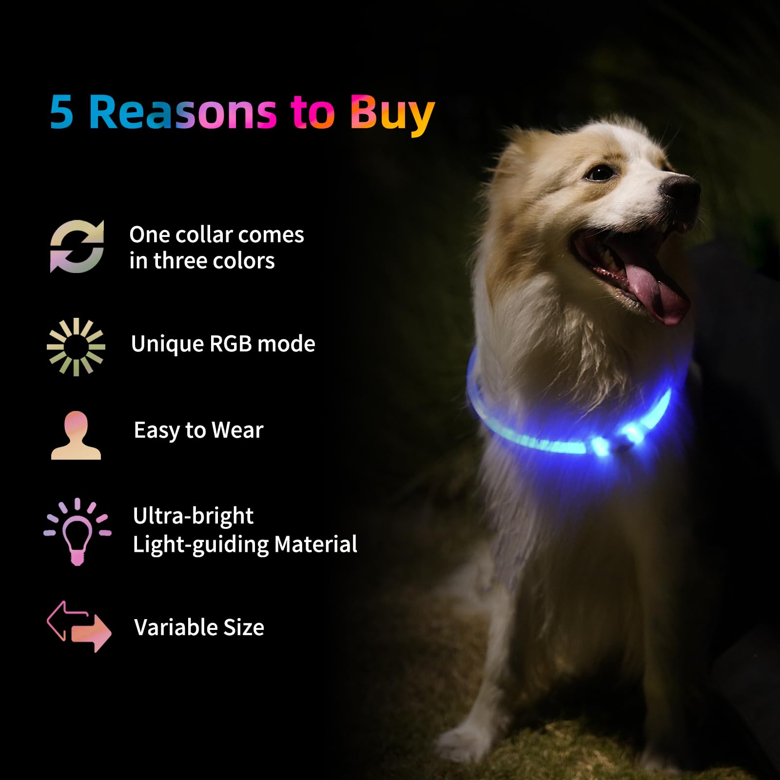 Emwel Type-C charging cable enables quick, everyday recharges for the collar