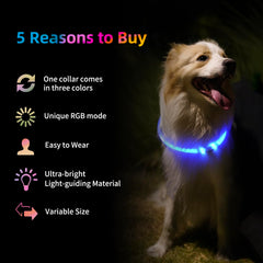 Emwel Type-C charging cable enables quick, everyday recharges for the collar