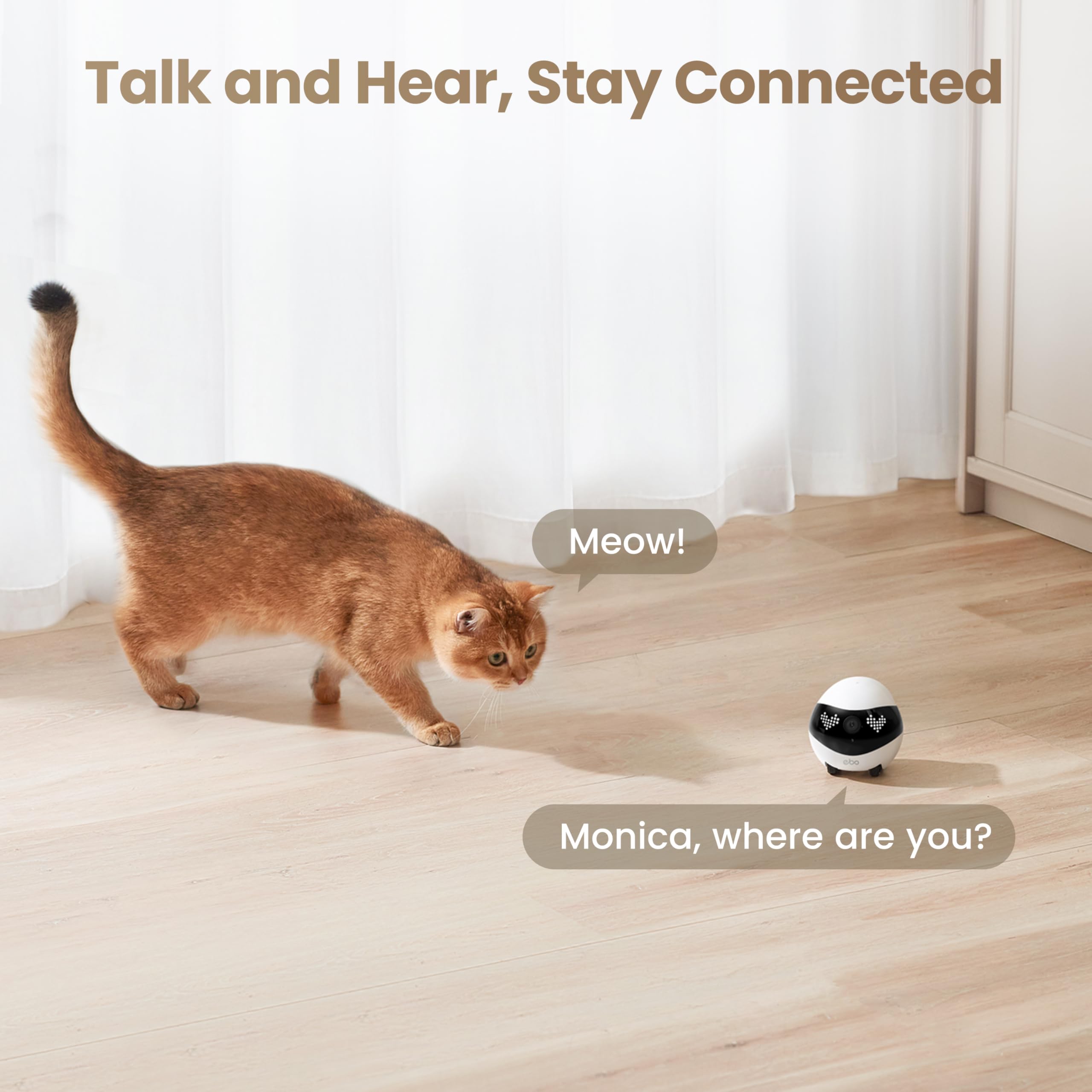 Enabot EBO Air 2 two-way talk enables comforting conversations with pets.