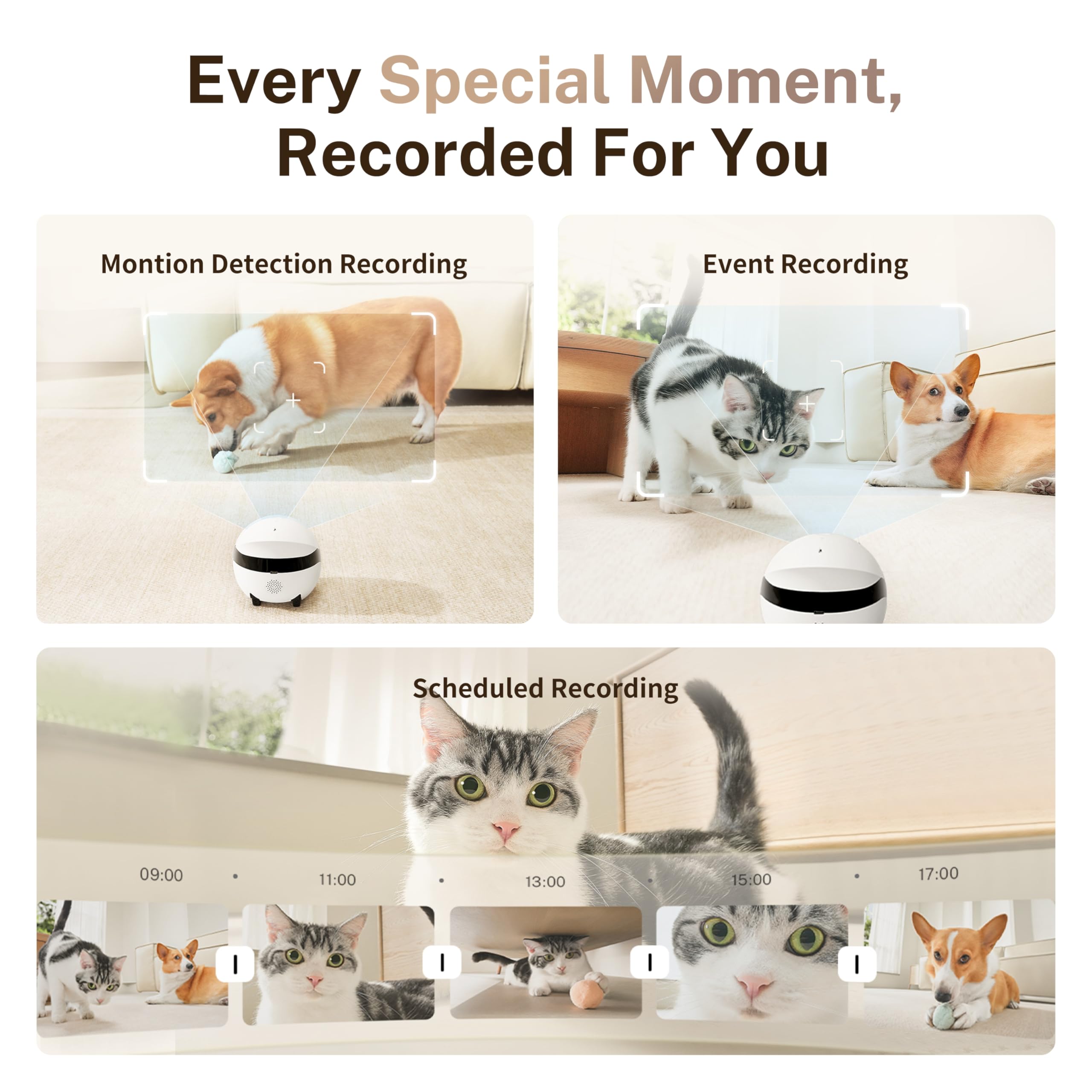 Enabot EBO ROLA Mini setup guide shows easy Wi-Fi prep.