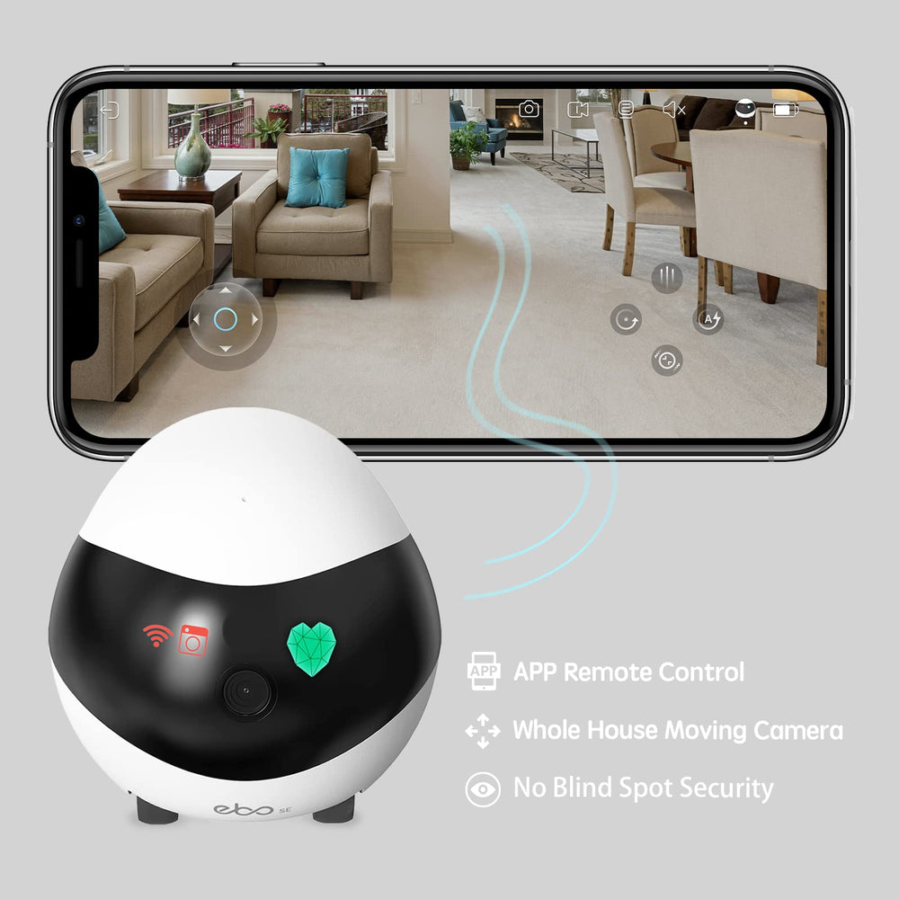 Enabot EBO SE night vision image highlights clear dim-light surveillance for pet safety