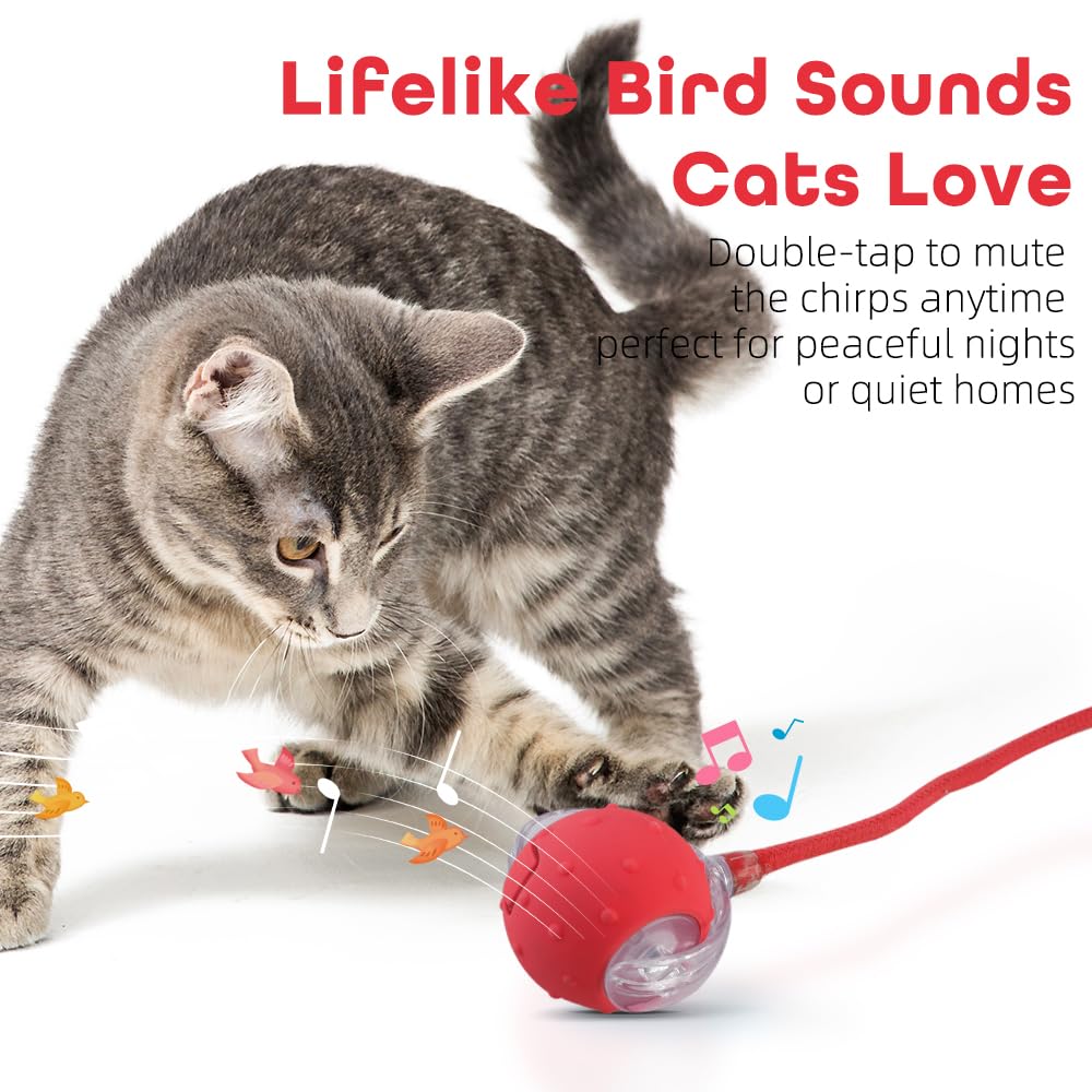 EnchantGlee interactive cat toy ball blue fast-mode highlights energetic play and quick reactions