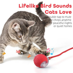 EnchantGlee interactive cat toy ball blue fast-mode highlights energetic play and quick reactions