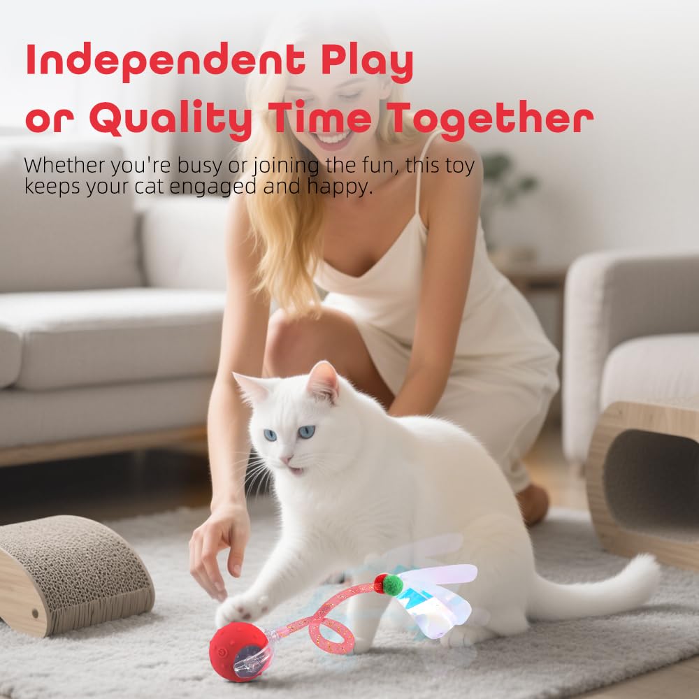 EnchantGlee interactive cat toy ball durable-shell withstands zoomies and easy cleaning after play