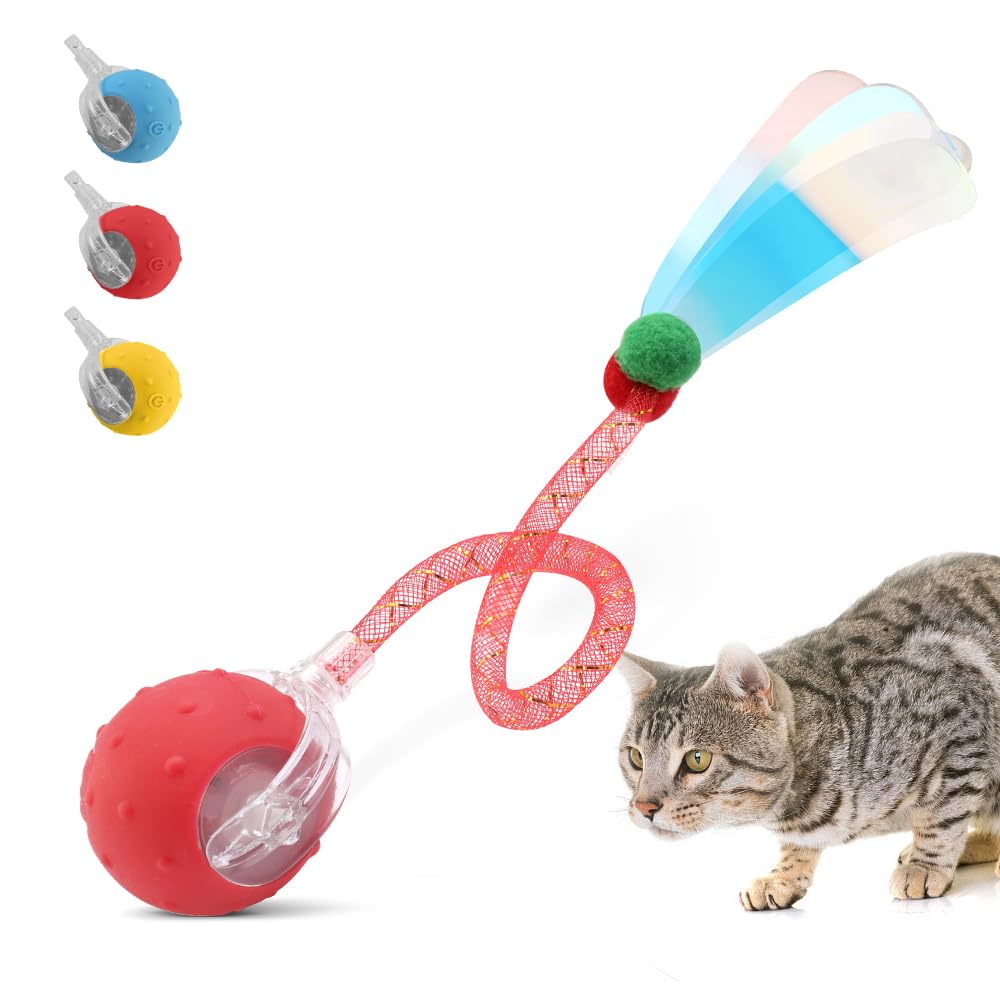 EnchantGlee interactive cat toy ball front view boosts indoor play and engagement for cats