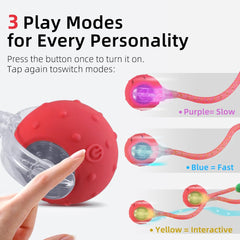 EnchantGlee interactive cat toy ball mesh-tail close-up entices pouncing with realistic visual prey