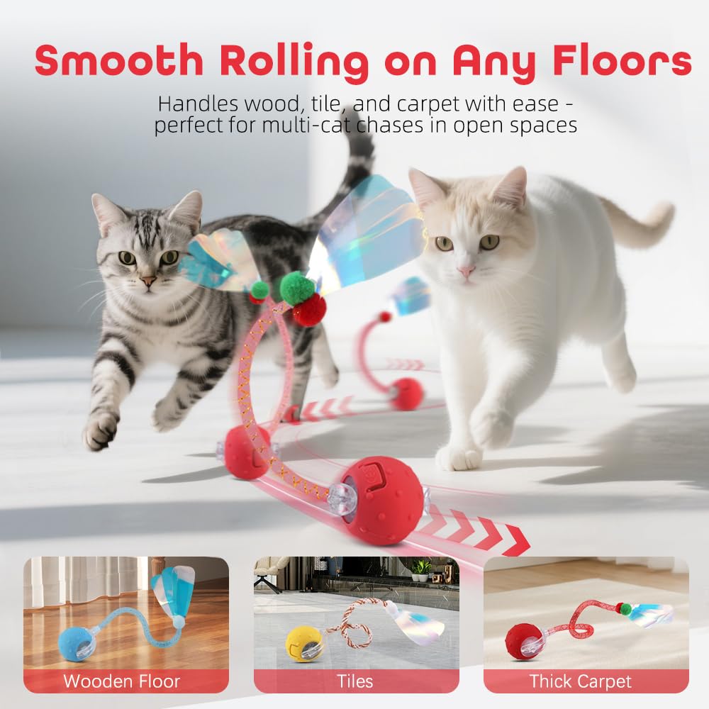 EnchantGlee interactive cat toy ball purple slow-mode demonstrates gentle, curiosity-friendly pacing