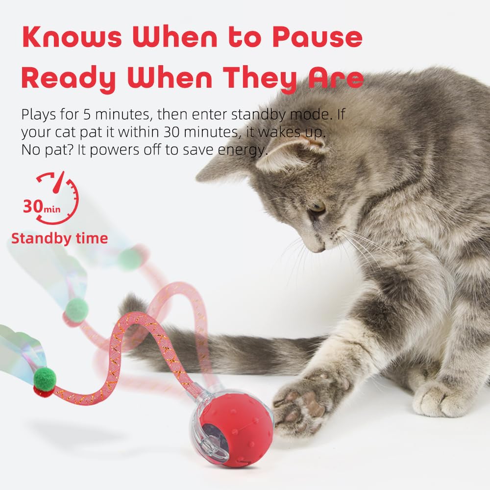 EnchantGlee interactive cat toy ball usbc-charge shows rechargeable convenience for busy homes