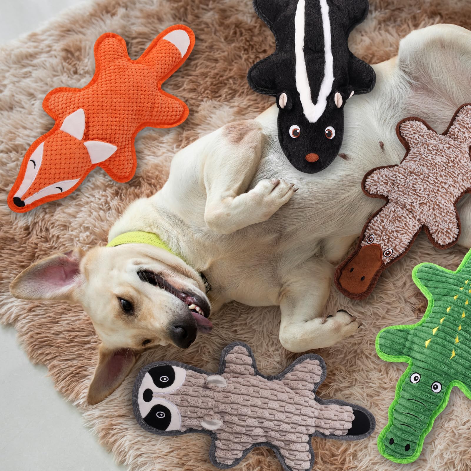Eneston no-stuffing toy closeup squeaker highlights sensory stimulation during play.
