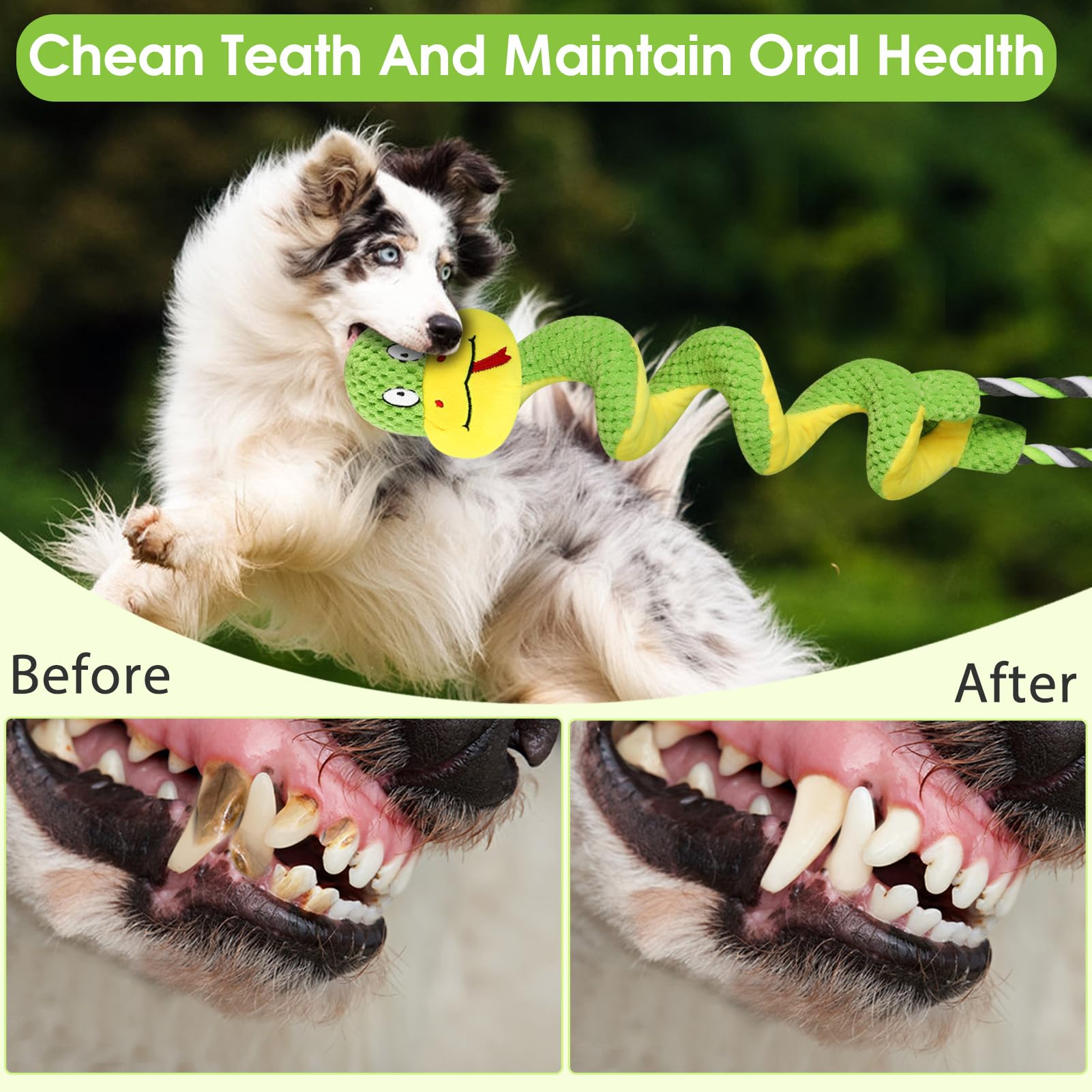Eneston dental-textured dog toy showcases texture to support chewing and oral hygiene routines