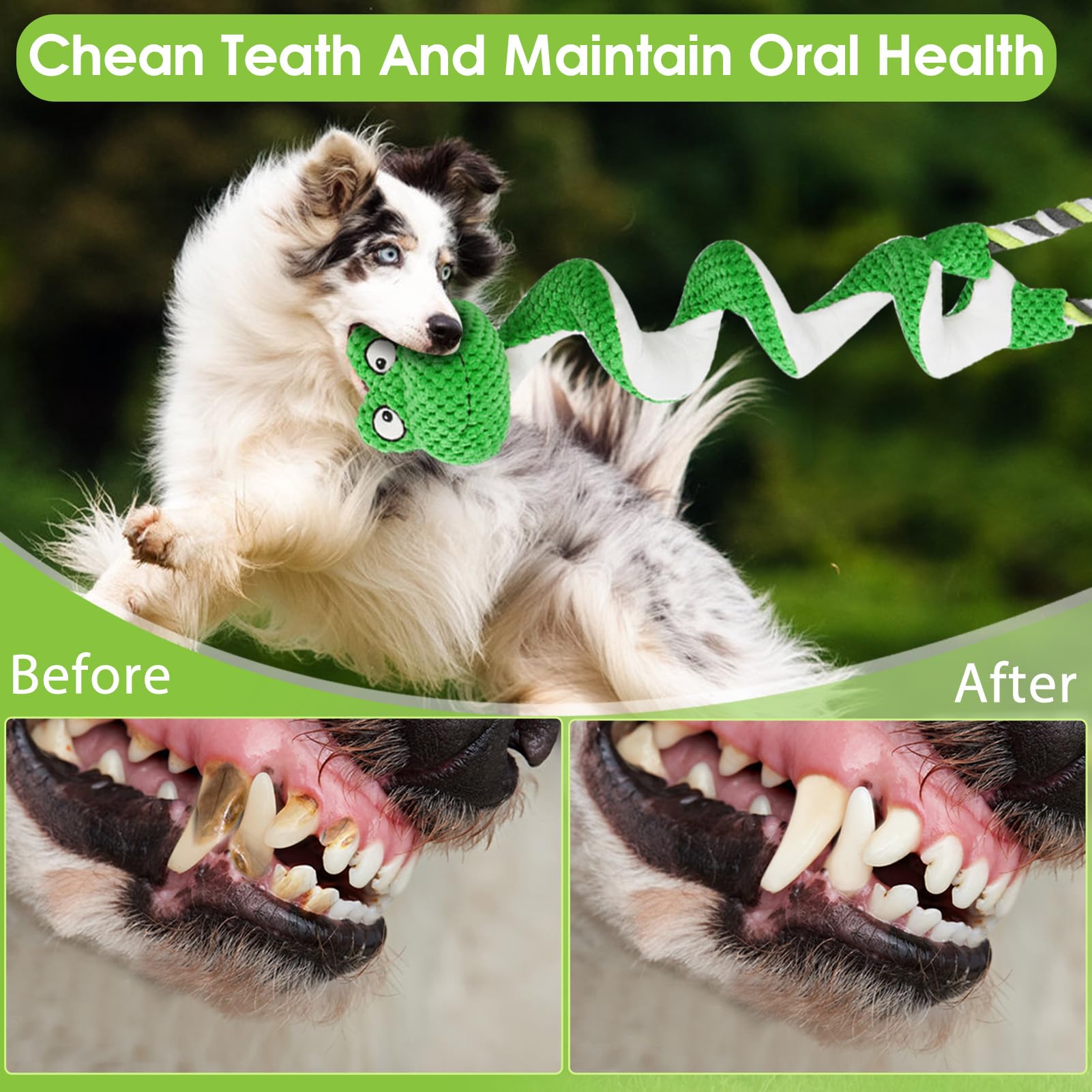 Eneston Duty Dog Rope Toy aids dental care with soft rope fibers.