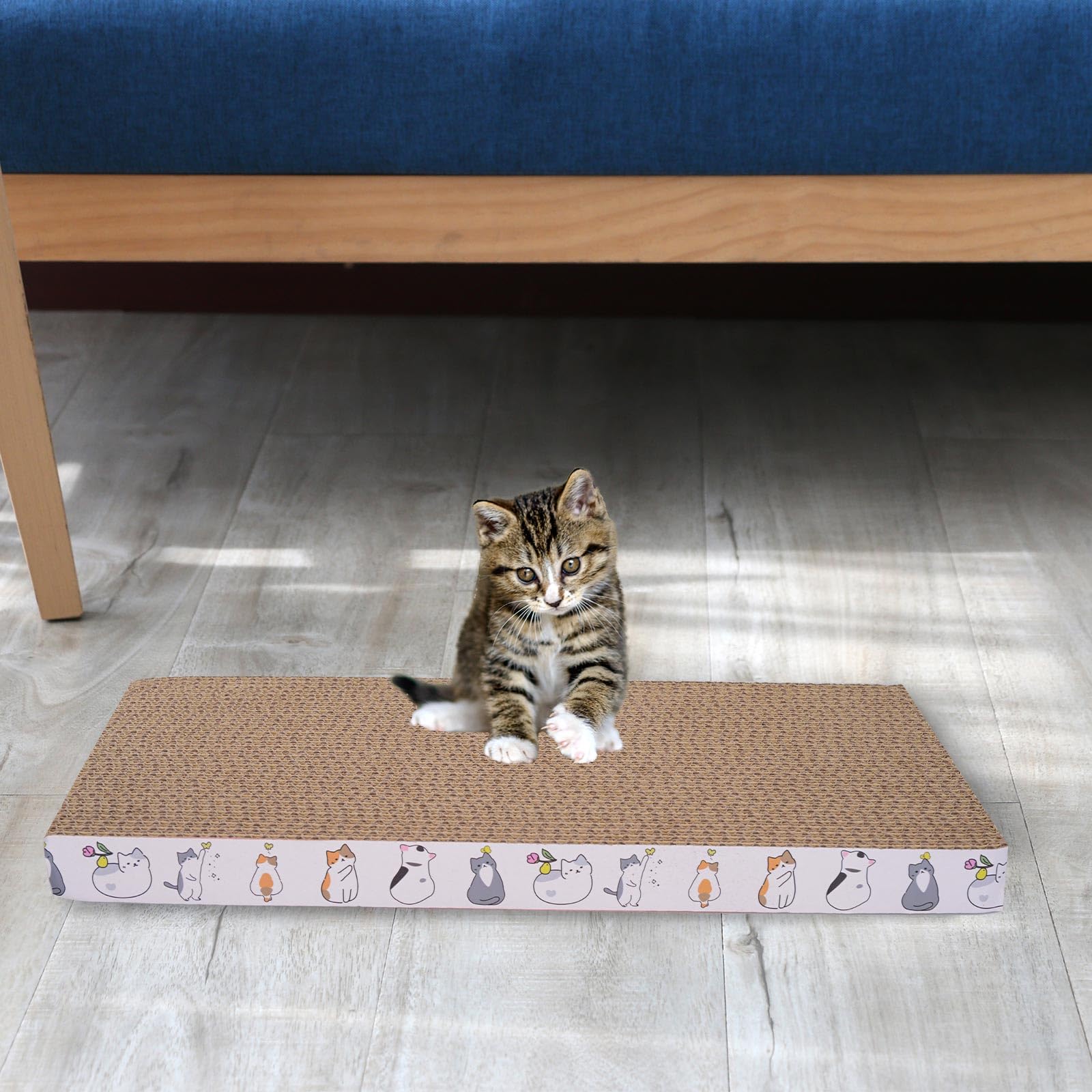 Engelalike 8-pack in-use on an indoor cat setup.