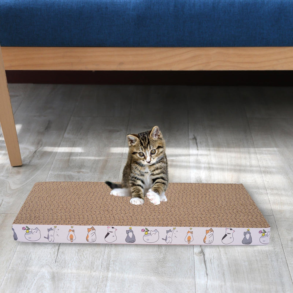 Engelalike indoor cat uses scratchboard for quiet play