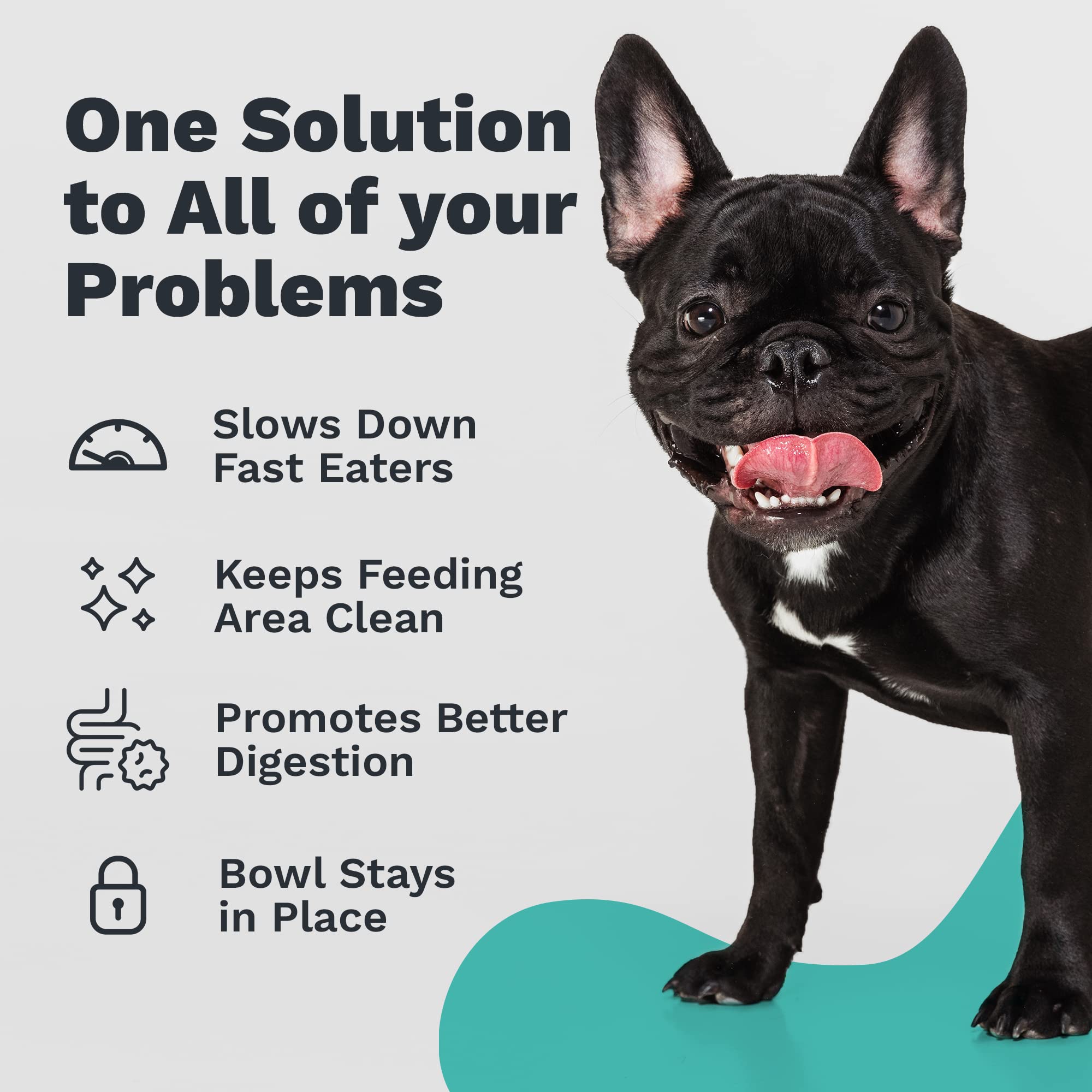 Enhanced Pet Bowl durable anti-slip base keeps the bowl steady during feeding