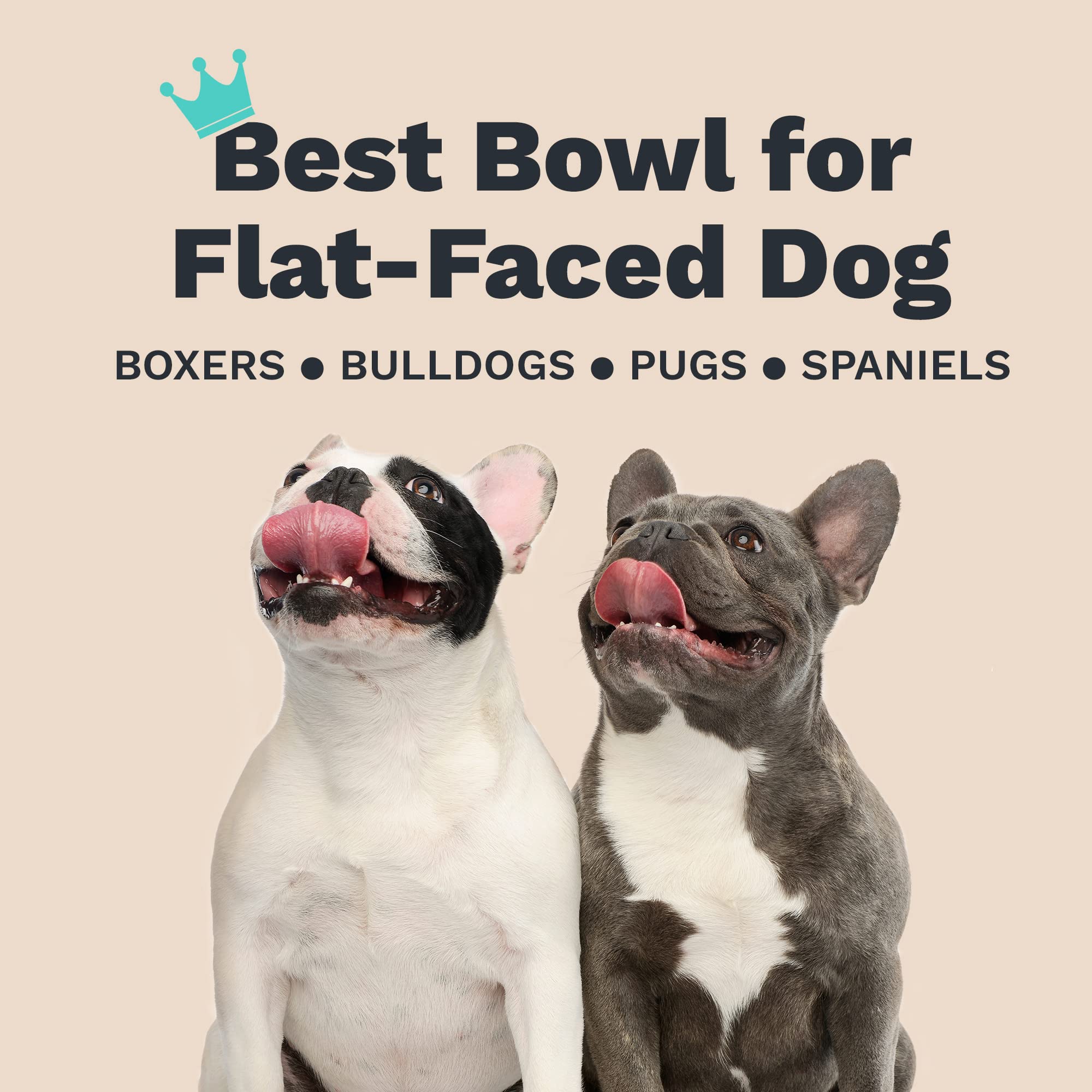 Enhanced Pet Bowl easy-clean durability supports quick hand washing after meals
