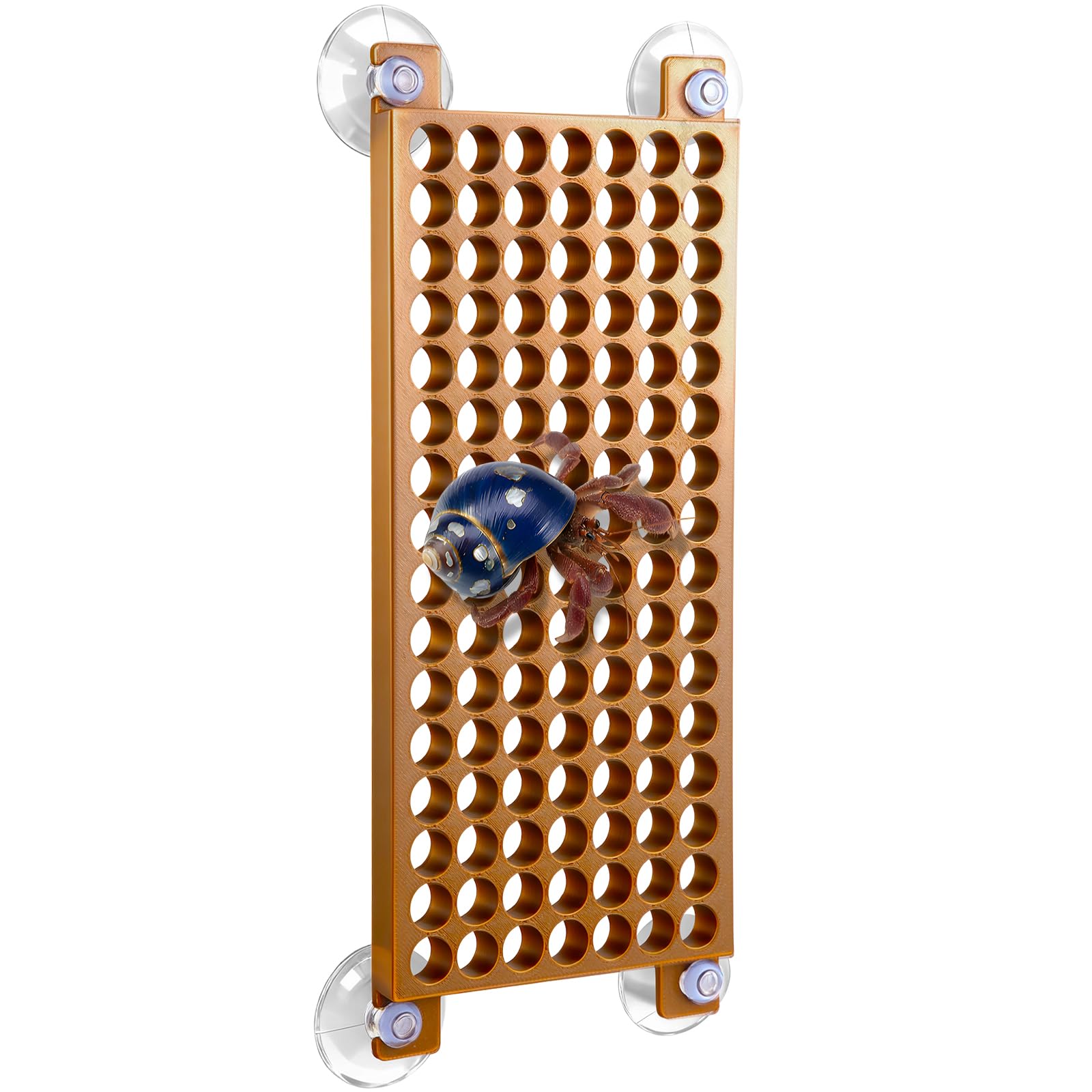 Enhon hermit crab ladder assembly shows sturdy design for safe climbing and setup.