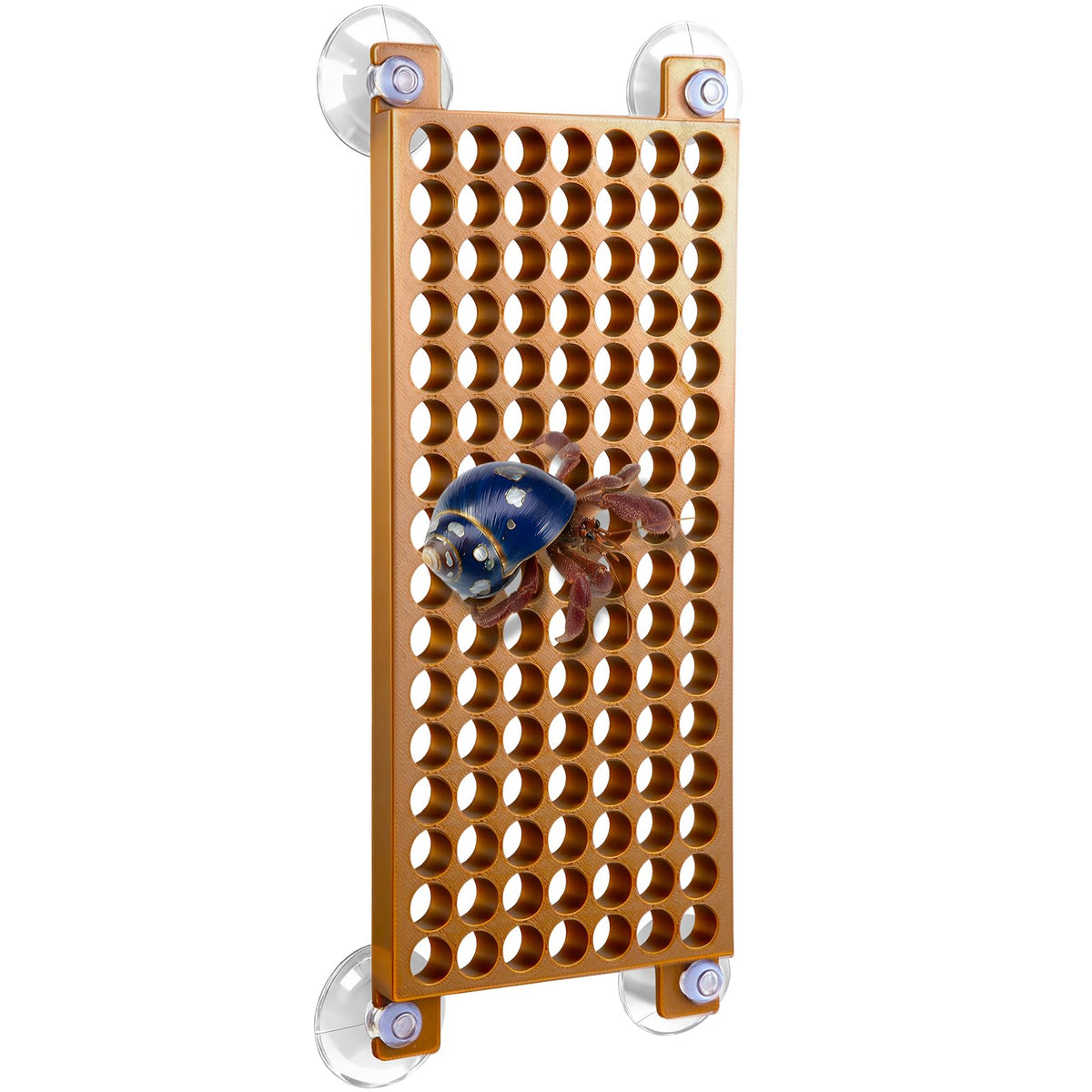 Enhon hermit crab ladder assembly shows sturdy design for safe climbing and setup.