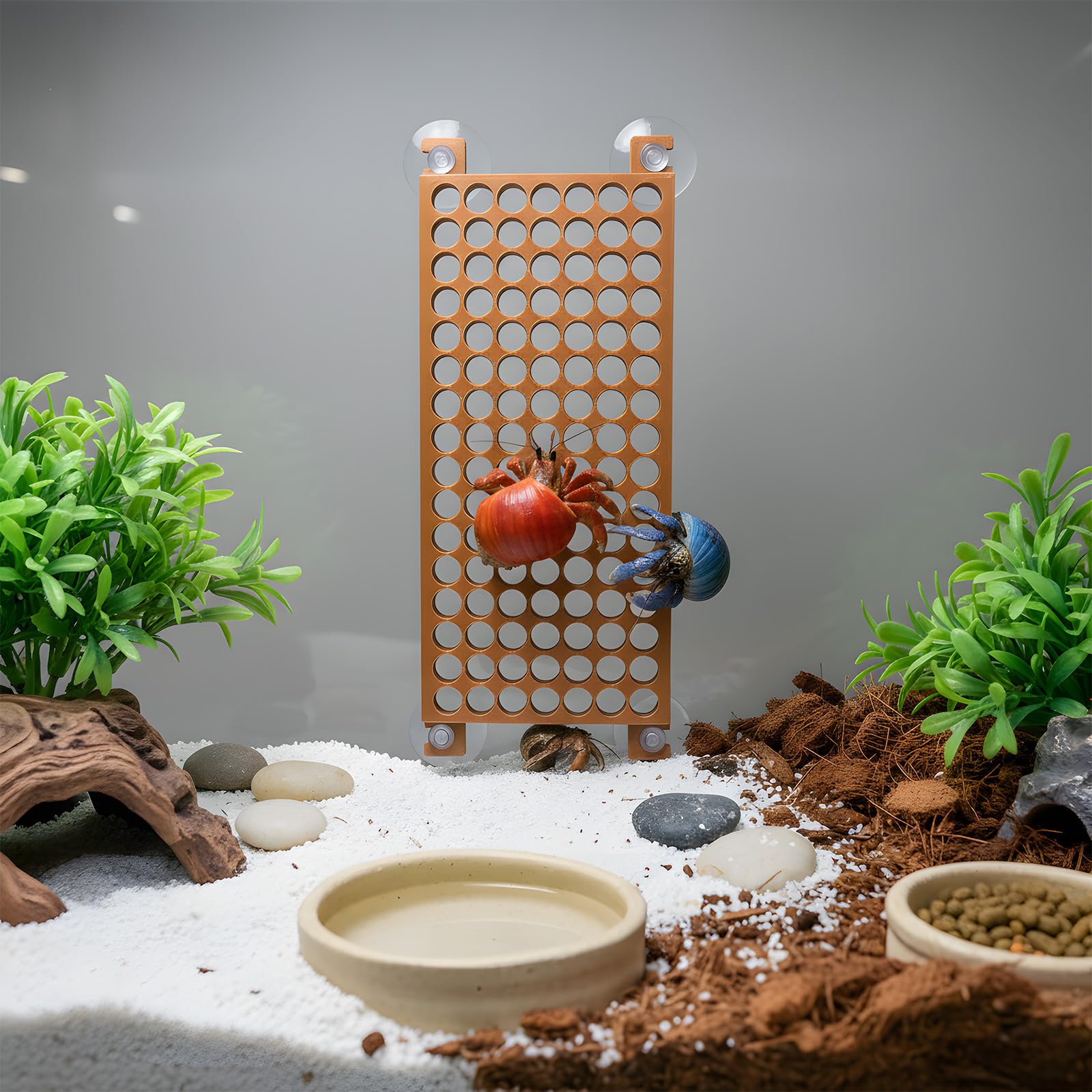 Enhon hermit crab ladder safety features smooth edges protecting claws.