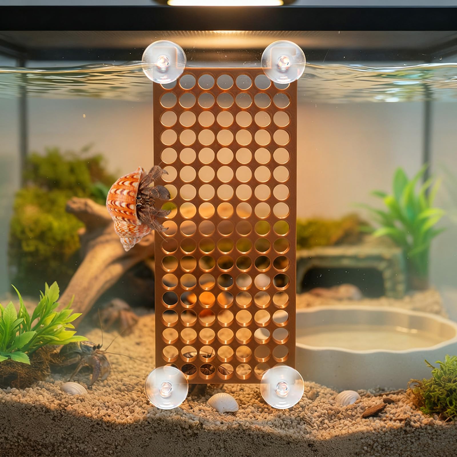 Enhon hermit crab multi-use setup demonstrates climbing toy and decor integration.