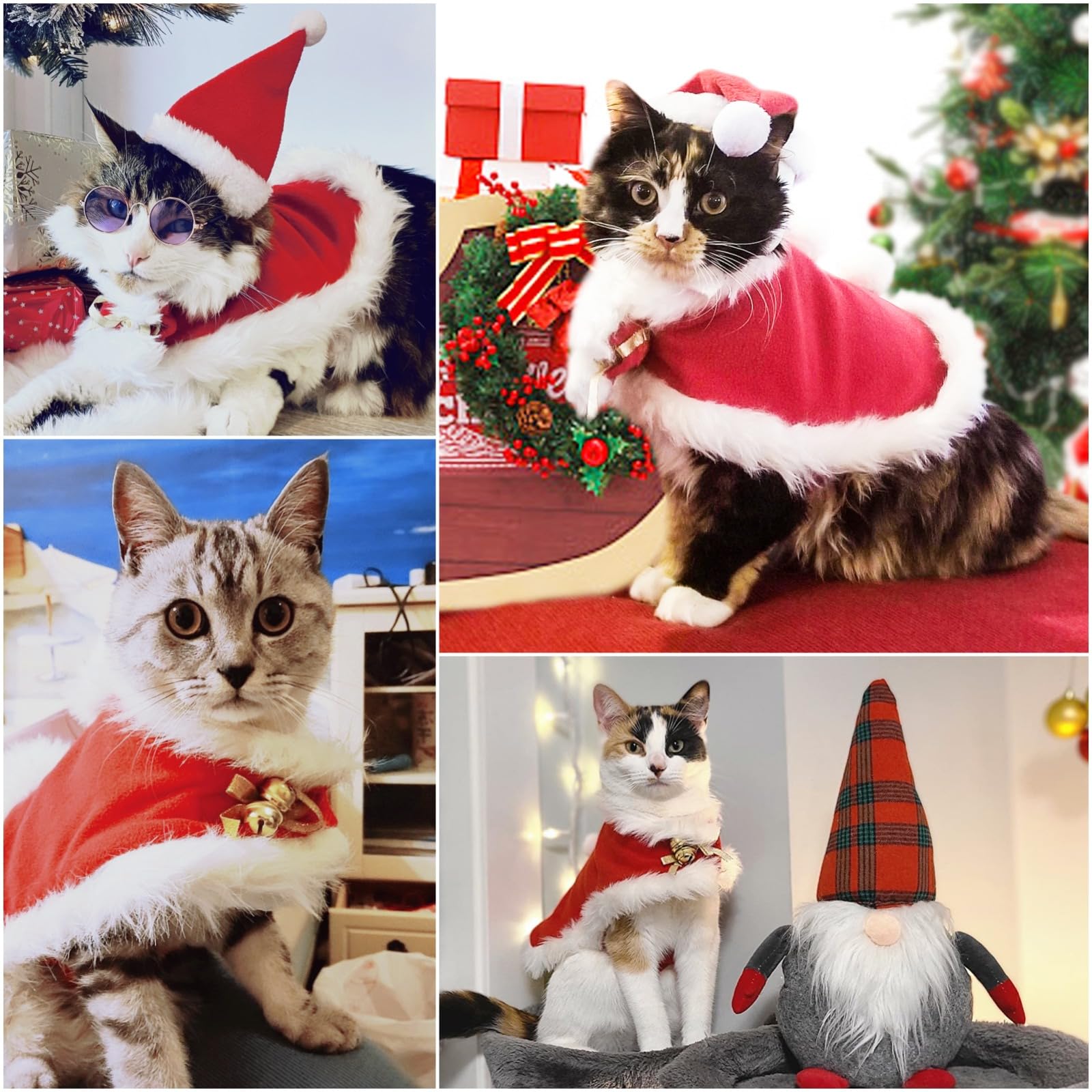 Enjoying Cat Christmas Costume ideal for Instagram and party snapshots.
