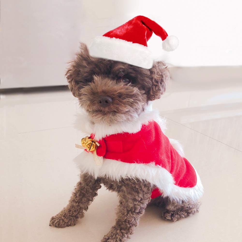 Enjoying Cat Christmas Costume red cloak adds warm, stylish holiday look.