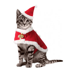 Enjoying Cat Christmas Costume Santa hat for festive pet photoshoots.